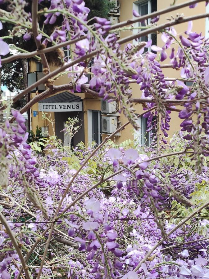 Hotel Venus Tbilisi Luaran gambar